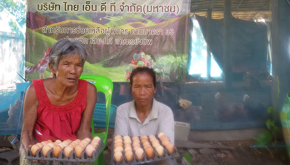 การคัดเลือก ประเมินและประเด็นที่มีนัยสำคัญ