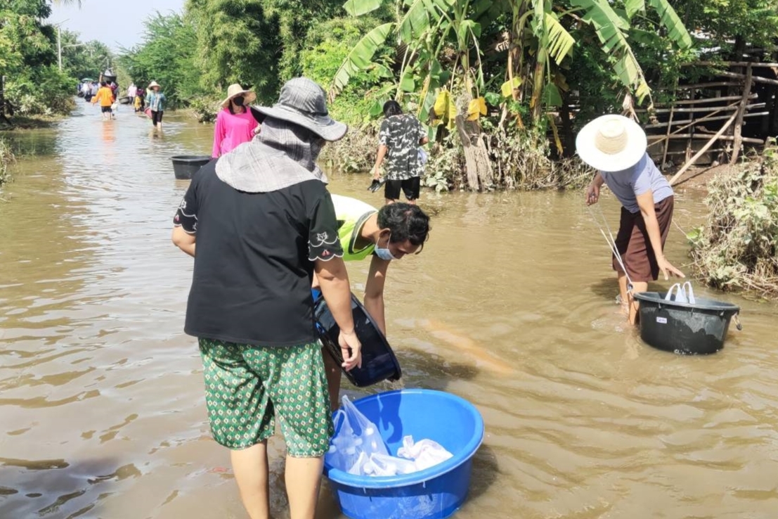 การคัดเลือก ประเมินและประเด็นที่มีนัยสำคัญ